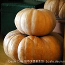 장독대김치찜