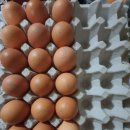 현풍농장 이미지