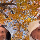 응급실국물떡볶이 서울용마산역점 | 주말만 보고 사는 삶