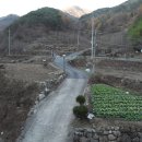 오케이빌리지1 이미지