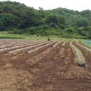 성기 농장 이미지