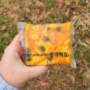떡쟁이떡집 | 모든떡을 직접 만드는 최고의 떡집 마산떡집 번개떡집 사진 많으니 종류 보시고 가세요