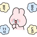 꼬망모르 이미지