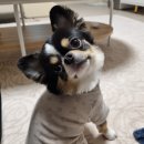 옹심이네살롱 이미지