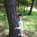 참다운(주) 네이버블로그