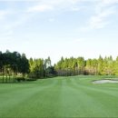 노송골프 이미지