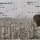 늘봄할인마트