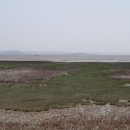 대부해솔길 4코스 이미지