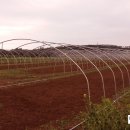 땅끝농장 이미지