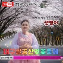 대구팔공산벚꽃축제 공연하십니다 이미지