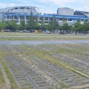 월드컵경기장 이미지