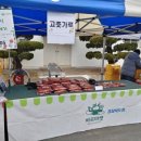 김윤태농장 이미지