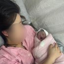 손꾸락발꾸락 - 남구 | [출산일기]임신37주 0일 초산모 제왕절개 후기/ 송파고은빛