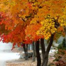 수림농원 이미지