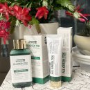 메디픽스 이미지