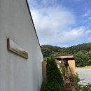 스테이 하냥 이미지