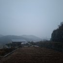 들꽃피는 아침풍경 | 2025.11.25. 아침 루틴: 방동리 아침 풍경