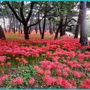 대왕암공원3(주차장) 이미지