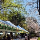 서초관광정보센터 이미지