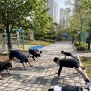 탑클래스유도 이미지