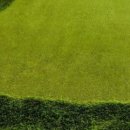 파크골프(중급) 이미지