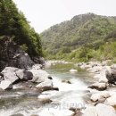 숲속계곡 이미지