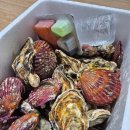 5단지방앗간 | 바다의 우유 석화 제철 신선하고 찐한 바다의 향 맛있는 방앗간굴수산 석화 7~8kg, 홍가리비 삶는 법