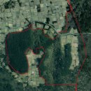 공설묘지 2 이미지