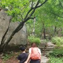 달팽이화장실[청학-1] 이미지