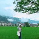 코리아카서비스 | [스위스 여행준비] 대한항공 제휴 허츠 코리아 렌트카 61만원 절감 후기 / 예약 취소 방법