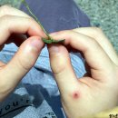 개화초등학교 이미지