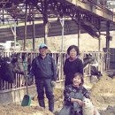 유진목장 이미지