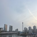 월드태양광 | 2026 석촌호수 벚꽃축제 실시간 후기 | 사진 포인트 총정리