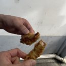 만물닭강정 | 인천 신포국제시장 투어 (맛집 리스트 정리)