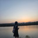 부일정