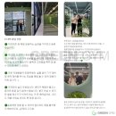그린생선