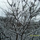 무지개횟집 이미지