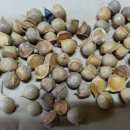 반석농장 이미지