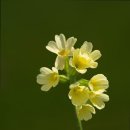 벧엘요양병원 | 광주시 서구에서 요양원 찾는다면 여기 벧엘타운 안정적인 요양 서비스