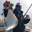 공현진항 이미지