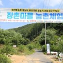 용인한우농장 이미지