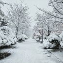 법무사김종헌사무소 - 남동구 구월로 129 | 법무사김종헌사무소