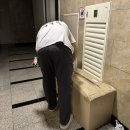 [일상]디디다퍼니처 네토박스