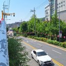 한신대학교 신학대학원 | 서울시 강북구 수유동 화계역 역세권 빌라 매매 안내
