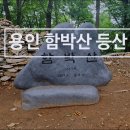 어산장안점 | 용인 함박산 등산코스 명지대학교 - 정상