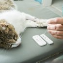 해온동물의료센터 이미지