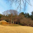 양정공원 이미지