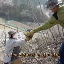 대장농원 네이버블로그