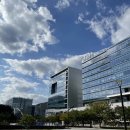 에프와이에스 골프 이미지