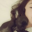 이창훈 동물병원 이미지